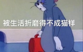 文案沙雕周末，关于周末的沙雕文案