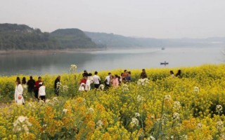 看花游玩攻略，看花游玩攻略大全
