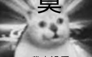 沙雕体能文案，沙雕体能文案怎么写