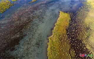 飞驰游玩攻略，飞驰旅行