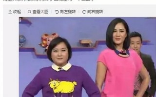 杨丽脱口秀经典段子集锦书籍，杨丽的脱口秀合集