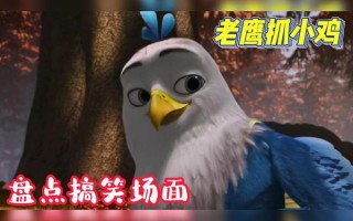 小鹰恶搞视频，小鹰恶搞视频大全