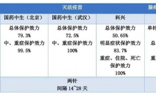 脱口秀两个段子怎么衔接，脱口秀经典段子稿子