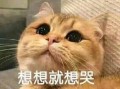 沙雕打更文案，沙雕文案逗比