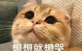 沙雕打更文案，沙雕文案逗比